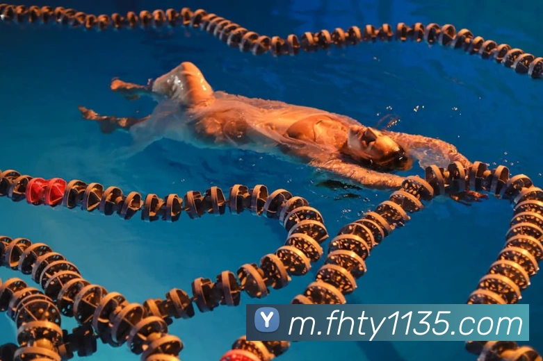 凤凰体育品牌故事